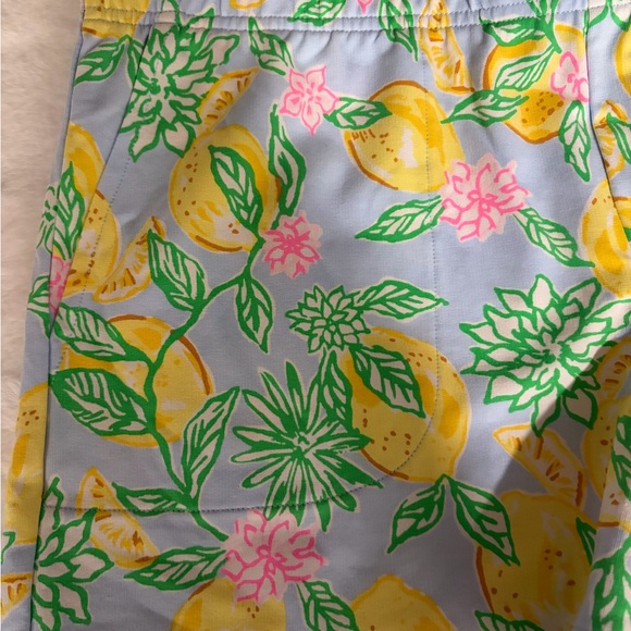 NWT Lilly Pulitzer Lemon Print Shorts size medium! 🍋 - Picture 5 of 9